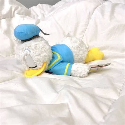 Donald Duck Sleeping