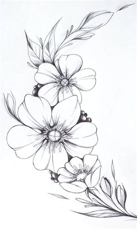 Pin by Cintia Miranda on Flores | Beautiful flower drawings, Flower line drawings, Flower sketches