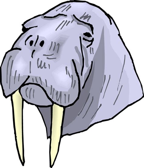 Walrus tusks clipart - WikiClipArt