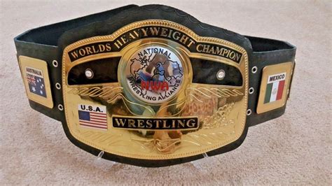 NWO Wrestling World Championship Title Belt Gold Plated Adult Size - Wrestling