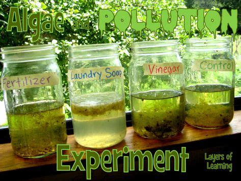 51 Agriscience projects ideas | homeschool science, science classroom ...