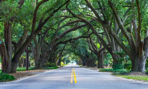 Fantastic Things To Do In Charming Aiken, South Carolina | TravelAwaits