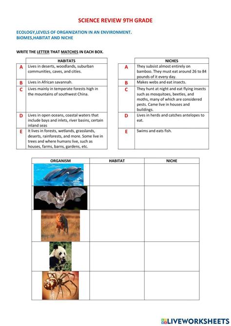 Ecological Niches - Worksheets Library