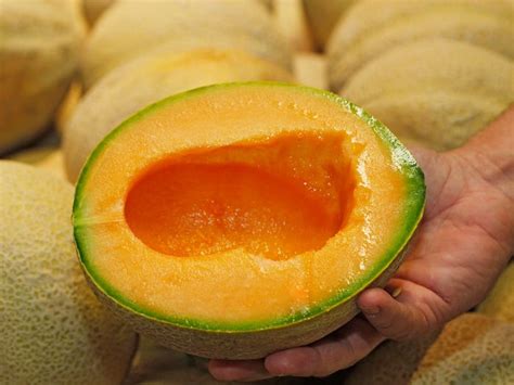 Cantaloupe Recall After Salmonella Outbreak Impacts 99, Kills 2 in US