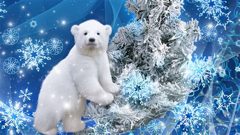 Christmas Polar Bear Wallpapers - Wallpaper Cave