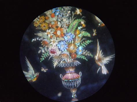 Butterfly wings, microscope, birds + bouquet. | transient musket | Flickr