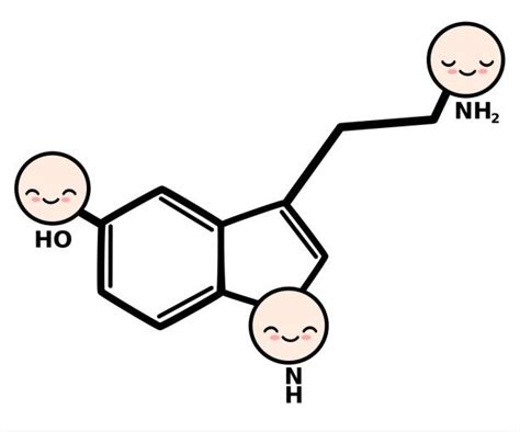 Serotonin Illustrations, Royalty-Free Vector Graphics & Clip Art - iStock