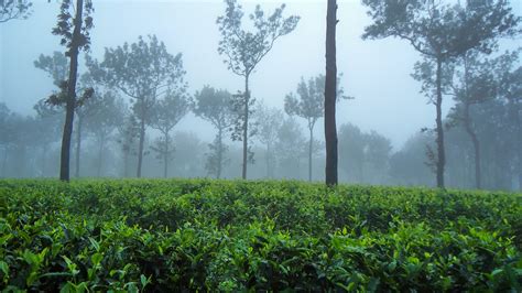 Monsoon in Kerala - Explore the romantic side of Kerala