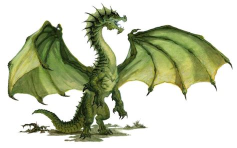 Young Green Dragon » Dungeons & Dragons - D&D 5 | Green dragon, Fantasy dragon, Dnd dragons