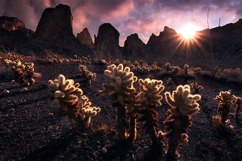 "Morning Halation" | Kofa Mountains - Arizona | Bryce Mironuck Fine Art Nature Photography Prints