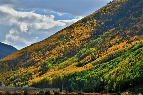 Red Mountain Pass Fall Colors Photograph by Ray Mathis | Fine Art America