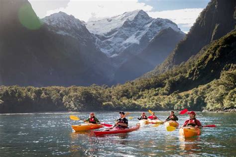 Milford Sound: Kayaking Tour | GetYourGuide