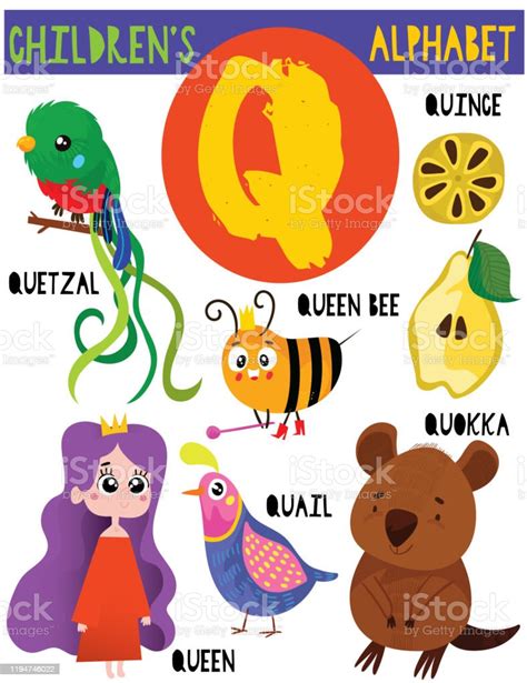 Letter Q Cute Childrens Alphabet With Adorable Animals And Other Things ...