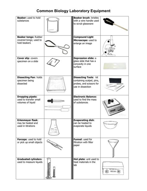 Laboratory Apparatus Worksheet — db-excel.com