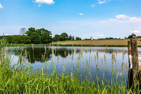 Pond Building: Overall Pond Design - Alabama Cooperative Extension System