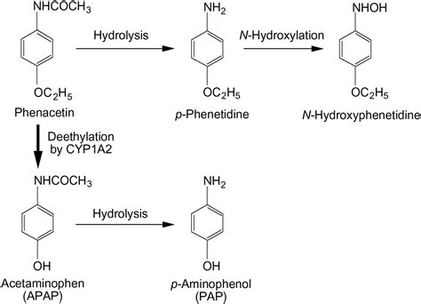 Arylacetamide Deacetylase Is a Determinant Enzyme for the Difference in Hydrolase Activities of ...