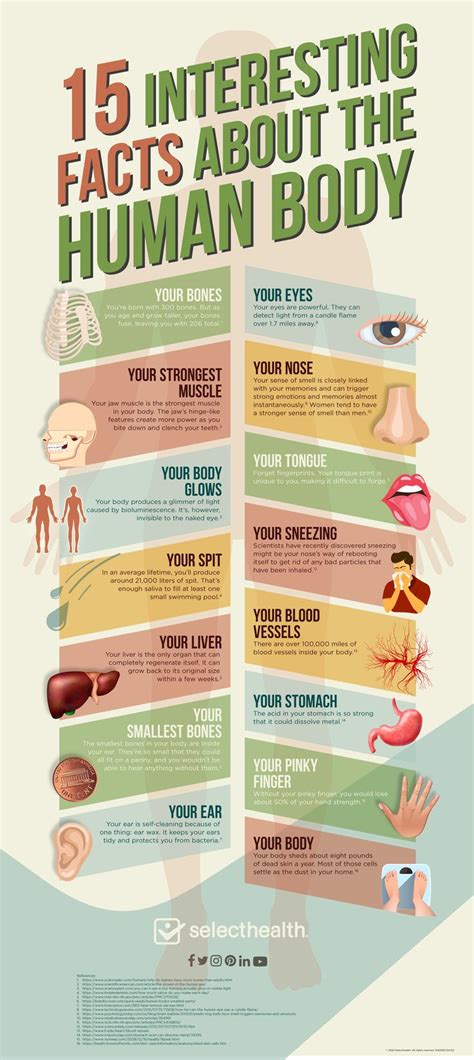 15 Interesting Facts About the Human Body Infographic | Biology facts, Human body facts, Human ...