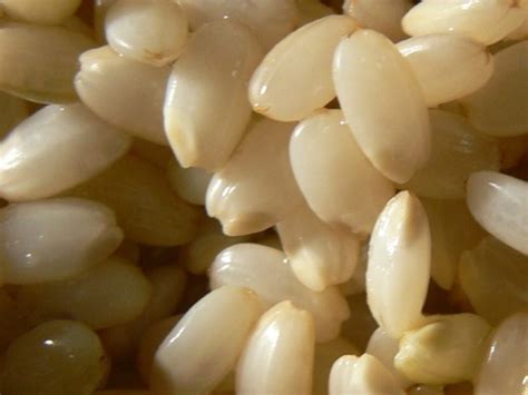 Brown Rice, GBR or GABA Rice and its Health Benefits | HubPages