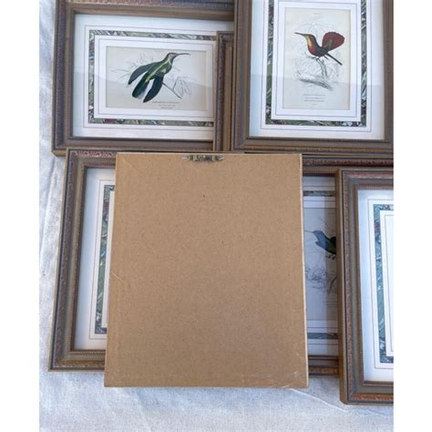 Set of 9 Hummingbird Prints-Framed | Chairish