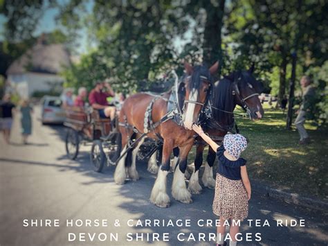 Beyonk | 🐴🇬🇧☕️ Devon Cream Tea Shire Horse & Carriage Ride☕️🇬🇧🐴