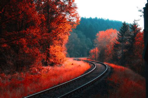 Railway Autumn Forest, HD Nature, 4k Wallpapers, Images, Backgrounds, Photos and Pictures
