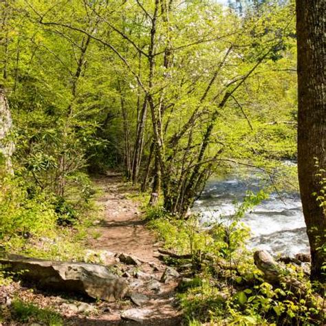 Asheville Hiking Trails | Guides & Recommendations | Asheville, NC's Official Travel Site