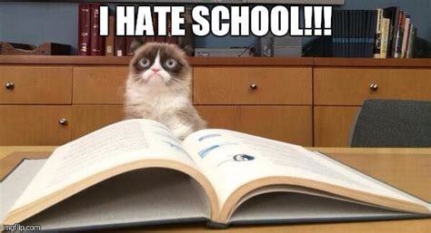 Grumpy Cat Studying - Imgflip