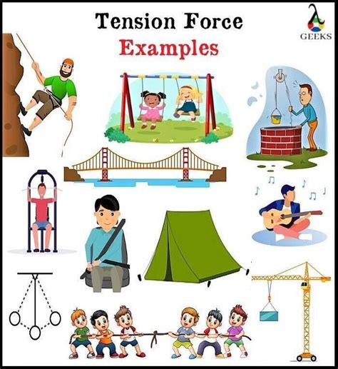 15+ Examples of Tension Force