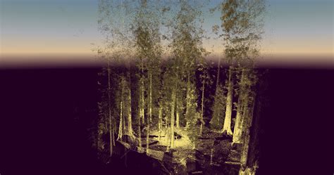 Tomographic Reconstruction of Forest Structure from a Ground-Based ...