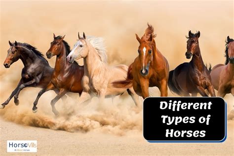 9 Most Popular Types of Horses and Horse Breeds [Guide]