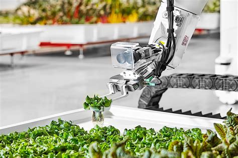 The future of indoor agriculture is vertical farms run by robots | Engadget