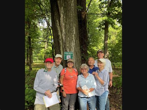 Enjoy Tree-Watching in Union County Parks | Westfield, NJ Patch