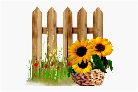 Garden Pinterest Fences Sunflowers - Fence Design Clip Art , Free Transparent Clipart - ClipartKey