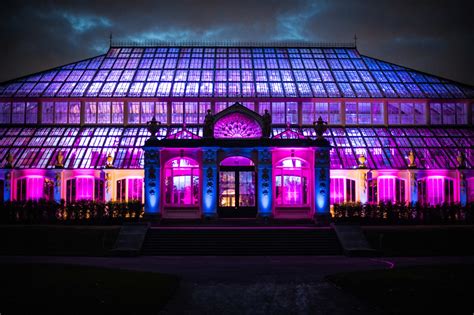 Plan the perfect evening at Christmas at Kew | Kew