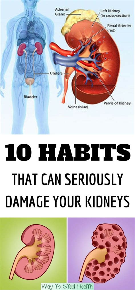 Left Kidney Pain Symptoms Causes And Treatments