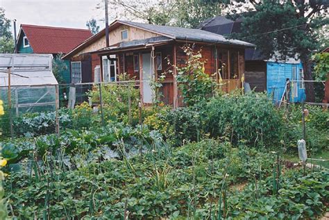 Russian Dacha Gardens - Small Farmer's JournalSmall Farmer's Journal