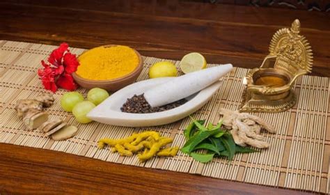 World Diabetes Day 2018: Try these Ayurveda herbs to manage diabetes ...