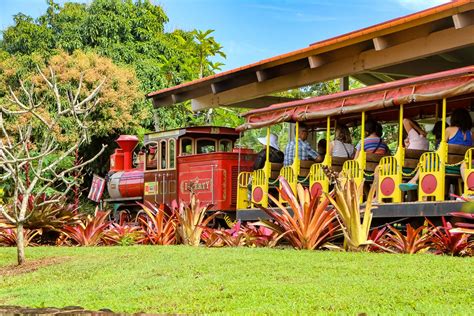 About Dole Plantation Train Ride | Oahu Private Tours