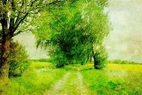 Landscape Painting Trees Free Stock Photo - Public Domain Pictures