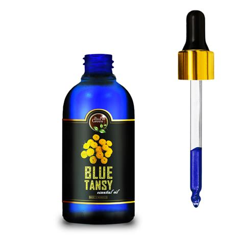 Moroccan Blue Tansy Essential Oil Health Benefits - Bioprogreen