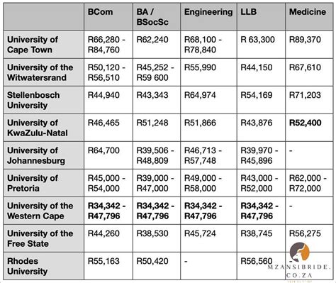 University Fees in South Africa: How Much Does It Cost? - September 2024