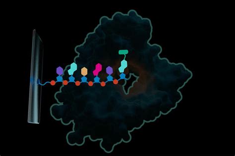 Advancing DNA Writing Technologies for Synthetic Genomes | Ansa ...