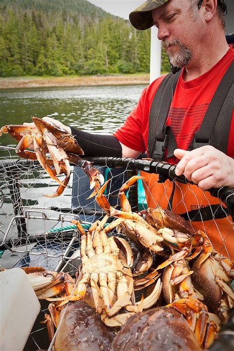 10 Cast Net: Alaska Crab Species