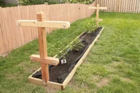 DIY Raspberry Trellis