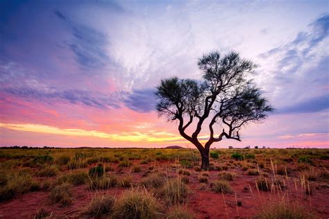 Indigenous Healers Welcomed - HealthStaff Recruitment