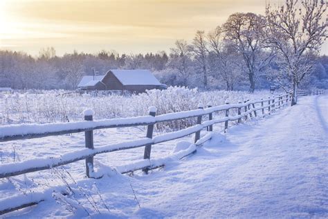 Winter On a Farm Archives - Hull O Farms