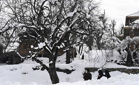 Jammu And Kashmir News, Jammu And Kashmir Weather Updates: Kashmir Witnesses Fresh Snowfall ...