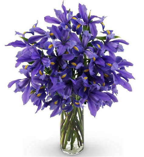 Iris Bouquet-Farm Fresh | Avas Flowers