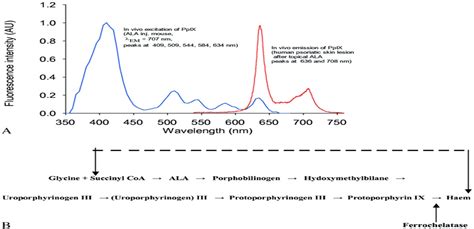 5-Aminolevulinic Acid Photodynamic Therapy: Where We Have Be... : Dermatologic Surgery