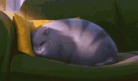 Cat Stretching GIF - Cat Stretching Oops - Discover & Share GIFs